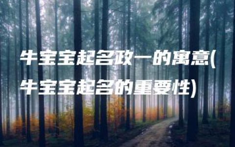 牛宝宝起名政一的寓意(牛宝宝起名的重要性)