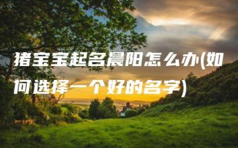 猪宝宝起名晨阳怎么办(如何选择一个好的名字)