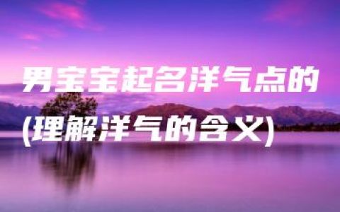 男宝宝起名洋气点的(理解洋气的含义)