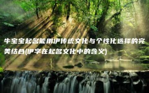 牛宝宝起名能用伊传统文化与个性化选择的完美结合(伊字在起名文化中的含义)