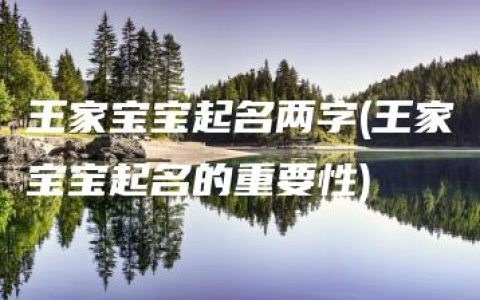 王家宝宝起名两字(王家宝宝起名的重要性)