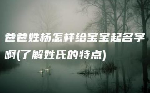 爸爸姓杨怎样给宝宝起名字啊(了解姓氏的特点)