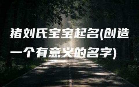 猪刘氏宝宝起名(创造一个有意义的名字)