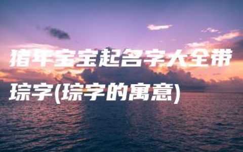 猪年宝宝起名字大全带琮字(琮字的寓意)