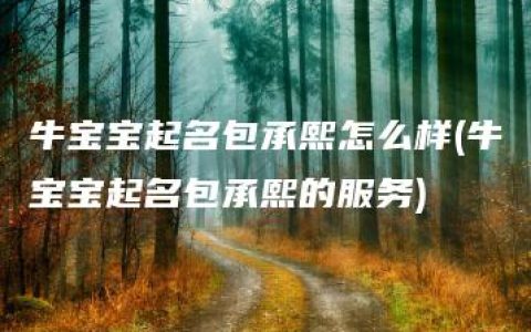 牛宝宝起名包承熙怎么样(牛宝宝起名包承熙的服务)