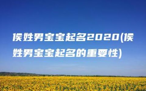 侯姓男宝宝起名2020(侯姓男宝宝起名的重要性)