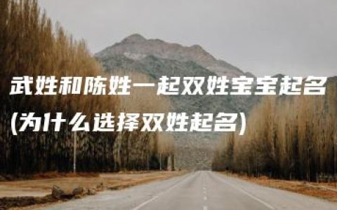 武姓和陈姓一起双姓宝宝起名(为什么选择双姓起名)