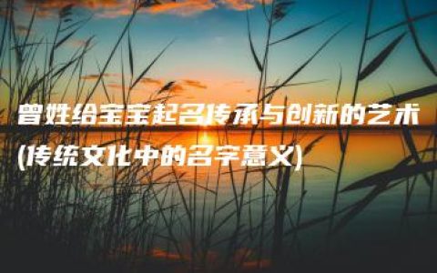 曾姓给宝宝起名传承与创新的艺术(传统文化中的名字意义)