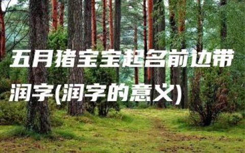 五月猪宝宝起名前边带润字(润字的意义)