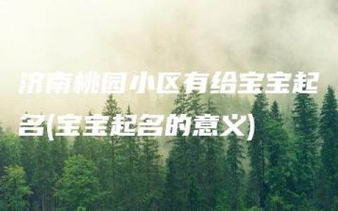 济南桃园小区有给宝宝起名(宝宝起名的意义)