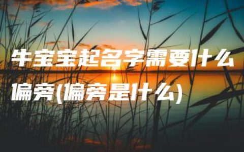 牛宝宝起名字需要什么偏旁(偏旁是什么)