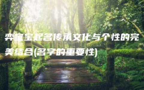 弈宝宝起名传承文化与个性的完美结合(名字的重要性)