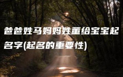 爸爸姓马妈妈姓董给宝宝起名字(起名的重要性)