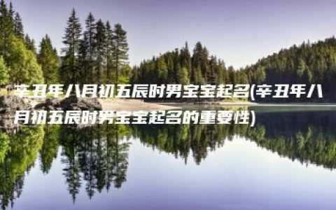 辛丑年八月初五辰时男宝宝起名(辛丑年八月初五辰时男宝宝起名的重要性)