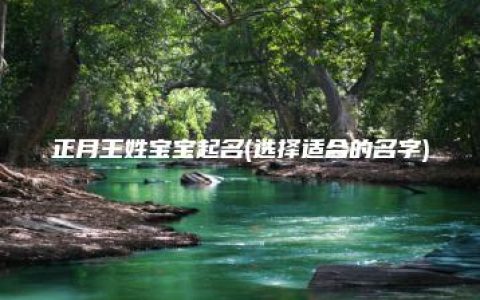 正月王姓宝宝起名(选择适合的名字)