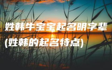 姓韩牛宝宝起名明字辈(姓韩的起名特点)