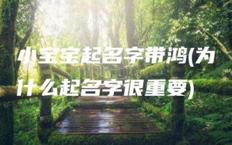 小宝宝起名字带鸿(为什么起名字很重要)