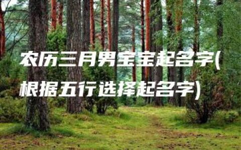 农历三月男宝宝起名字(根据五行选择起名字)