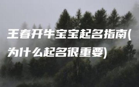 王春开牛宝宝起名指南(为什么起名很重要)