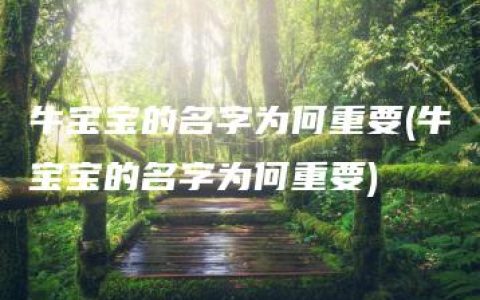 牛宝宝的名字为何重要(牛宝宝的名字为何重要)