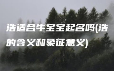 浩适合牛宝宝起名吗(浩的含义和象征意义)