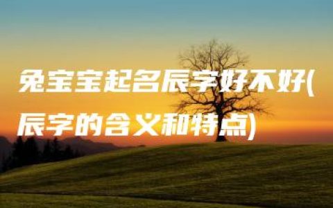 兔宝宝起名辰字好不好(辰字的含义和特点)