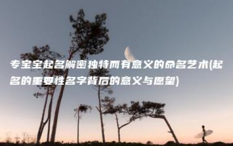 专宝宝起名解密独特而有意义的命名艺术(起名的重要性名字背后的意义与愿望)