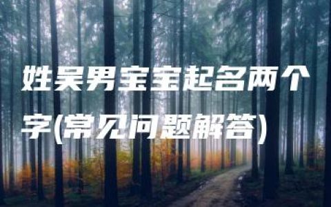 姓吴男宝宝起名两个字(常见问题解答)