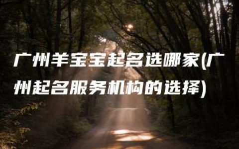 广州羊宝宝起名选哪家(广州起名服务机构的选择)