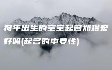 狗年出生的宝宝起名郑煜宏好吗(起名的重要性)