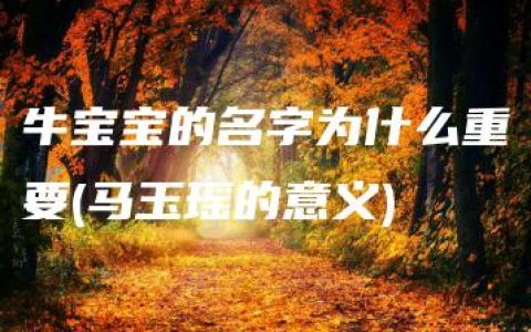 牛宝宝的名字为什么重要(马玉瑶的意义)