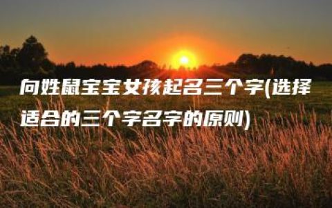 向姓鼠宝宝女孩起名三个字(选择适合的三个字名字的原则)