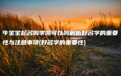 牛宝宝起名叫李凯可以吗解析好名字的重要性与注意事项(好名字的重要性)