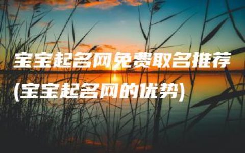 宝宝起名网免费取名推荐(宝宝起名网的优势)