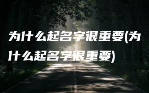 为什么起名字很重要(为什么起名字很重要)