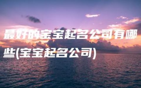 最好的宝宝起名公司有哪些(宝宝起名公司)