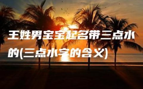 王姓男宝宝起名带三点水的(三点水字的含义)