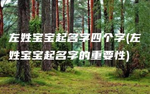 左姓宝宝起名字四个字(左姓宝宝起名字的重要性)