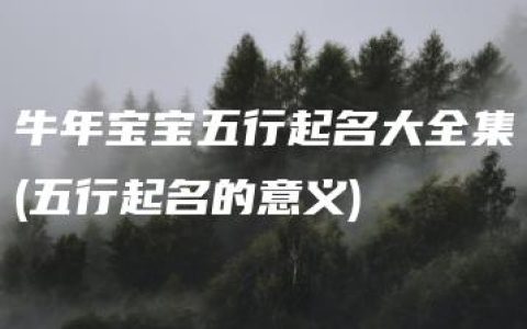 牛年宝宝五行起名大全集(五行起名的意义)