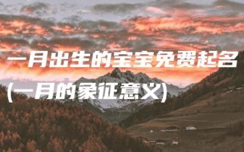 一月出生的宝宝免费起名(一月的象征意义)