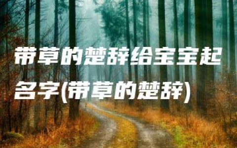 带草的楚辞给宝宝起名字(带草的楚辞)