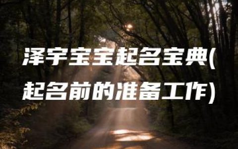 泽宇宝宝起名宝典(起名前的准备工作)