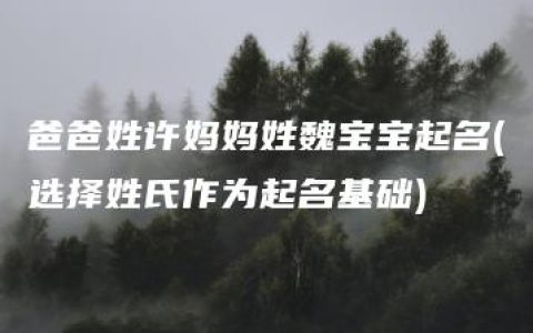 爸爸姓许妈妈姓魏宝宝起名(选择姓氏作为起名基础)