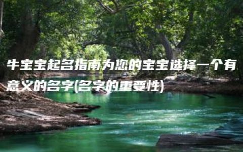 牛宝宝起名指南为您的宝宝选择一个有意义的名字(名字的重要性)