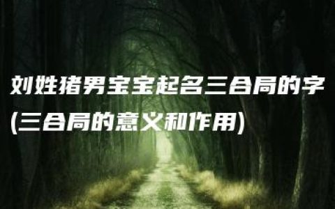 刘姓猪男宝宝起名三合局的字(三合局的意义和作用)