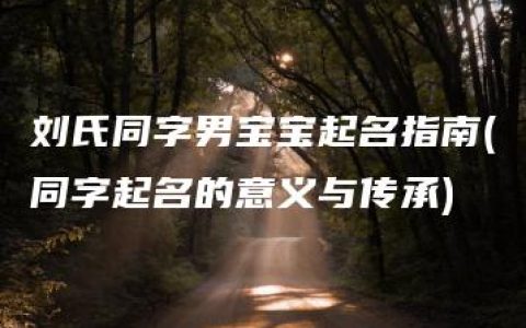 刘氏同字男宝宝起名指南(同字起名的意义与传承)