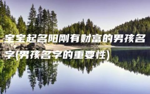 宝宝起名阳刚有财富的男孩名字(男孩名字的重要性)