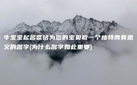 牛宝宝起名嘉铭为您的宝贝取一个独特而有意义的名字(为什么名字如此重要)