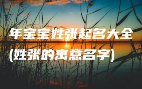 年宝宝姓张起名大全(姓张的寓意名字)