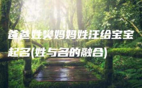 爸爸姓樊妈妈姓汪给宝宝起名(姓与名的融合)